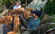 Dingo Den Discovery Experience - thumb 1