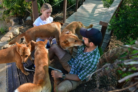 Dingo Den Discovery Experience - Dalby Accommodation 1