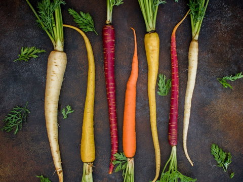 Food For Good Festival - Dalby Accommodation 0