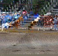 North Queensland Elite Rodeo - Dalby Accommodation