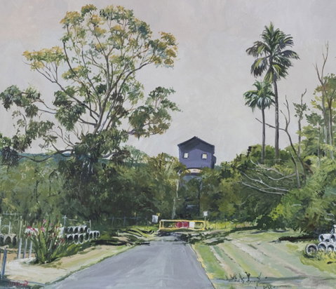 Pamela Griffith Wollongong Then And Now - Dalby Accommodation 0