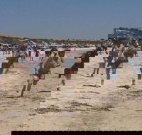 Perlubie Beach Sports Day - Dalby Accommodation