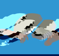 Petrenko's Shostakovich - Morning Symphony - Dalby Accommodation