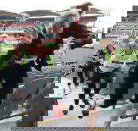 Stadium Stomp Adelaide Oval - Postponed - Dalby Accommodation