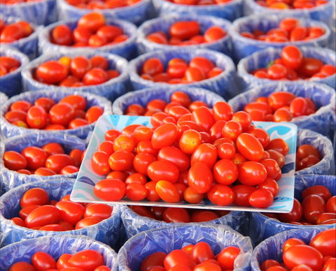 The Entrance Market - Dalby Accommodation 2