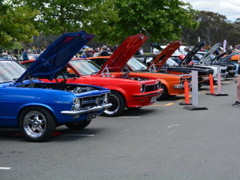Torana Nationals - Dalby Accommodation 1