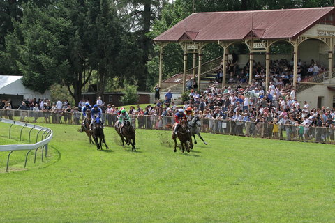 Tumut Boxing Day Races - Dalby Accommodation 0