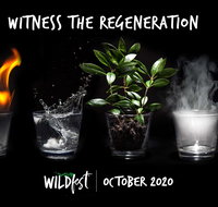 Wildfest - Annual Festival - Dalby Accommodation