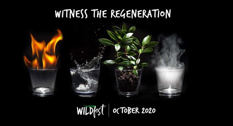 Wildfest - Annual Festival - Dalby Accommodation 0