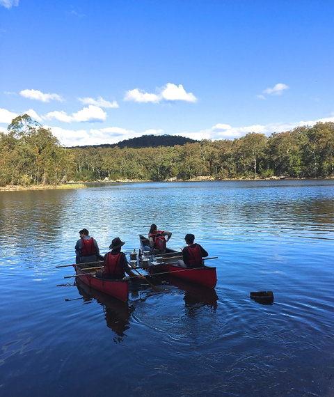 Wildfest - Annual Festival - Dalby Accommodation 2