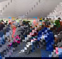 Wildflower Art and Garden Festival - Dalby Accommodation