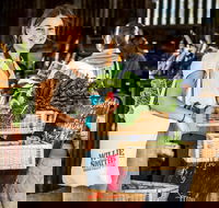 Willie Smith's Artisan and Produce Market - Dalby Accommodation