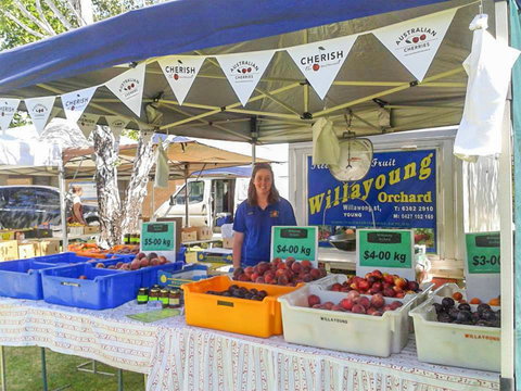 Young And Region Farmers Markets - Dalby Accommodation 1