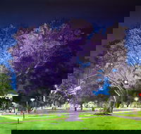 Adelaide Parklands Art Prize  Finalists Exhibition  Sale 2020 - Dalby Accommodation