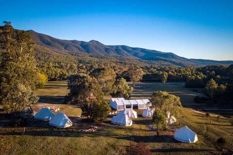 A Wild Night Out - Spring - Dalby Accommodation 5