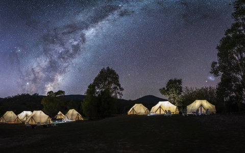 A Wild Night Out - Spring - Dalby Accommodation 6