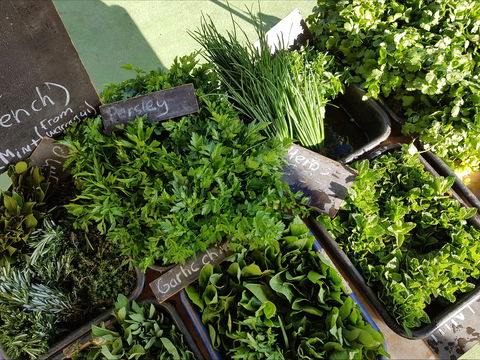 Carlton Farmers' Market - Dalby Accommodation 2