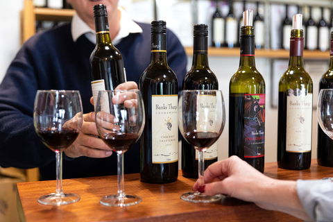Coonawarra Cellar Dwellers - Dalby Accommodation 2