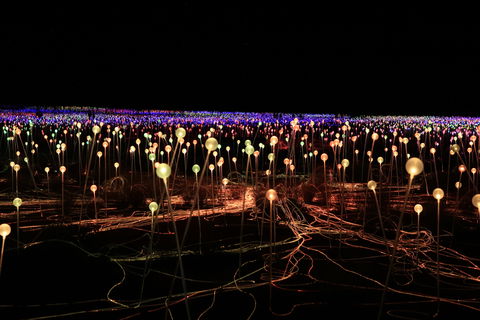 Field Of Light Uluru - Dalby Accommodation 1