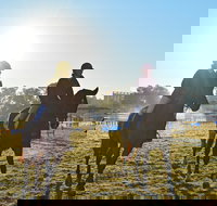 Gunnedah Showjumping Festival - Dalby Accommodation