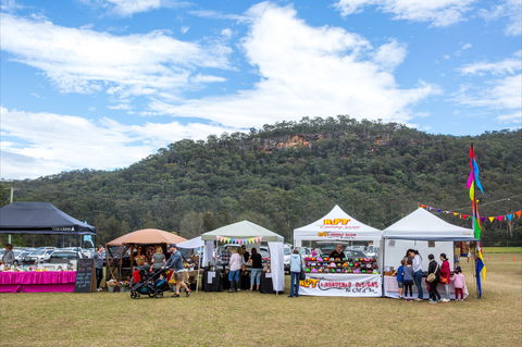 Horses Birthday Festival - Dalby Accommodation 2