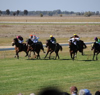 Jerilderie Gold Cup Races