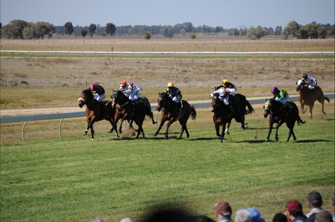 Jerilderie Gold Cup Races - Dalby Accommodation 0