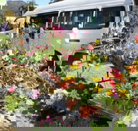 Johns River Country Markets - Dalby Accommodation