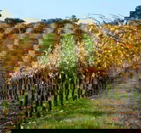 Miners Ridge Wine Tasting - Dalby Accommodation