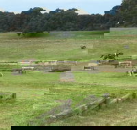 Mount Gambier and District Pony Club Horse Trials 2020 - Dalby Accommodation