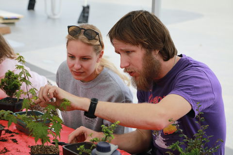 Nan Tien Health And Wellbeing Market - Dalby Accommodation 2