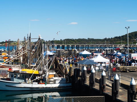 Ocean Harvest Festival - Dalby Accommodation 0