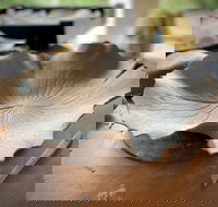 Online live streaming class DIY Clay Hand Building for Beginners - Dalby Accommodation