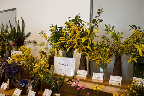 Pomonal Native Flower Show - Dalby Accommodation 0