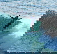 Port Stephens Surf Festival - Dalby Accommodation