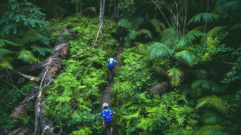 Reef To Reef - Dalby Accommodation 7