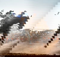 Rodeo by the Sea - Streaky Bay - Dalby Accommodation