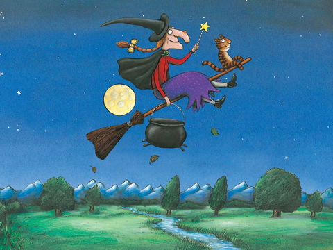Room On The Broom - Dalby Accommodation 0