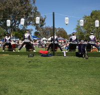 Sakura Matsuri  - Cherry Blossom Festival - in doubt due to Covid-19 - Dalby Accommodation