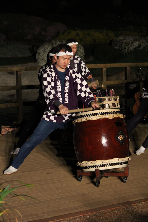 Sakura Matsuri  - Cherry Blossom Festival - In Doubt Due To Covid-19 - Dalby Accommodation 1