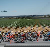 Santos Tour Down Under - Dalby Accommodation