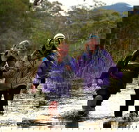Serra Terror - Dalby Accommodation