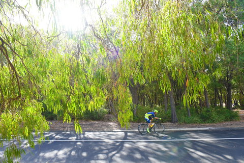 SunSmart FunMan Triathlon - Dalby Accommodation 0