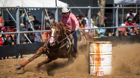 The Gulf Country Frontier Days Festival - Dalby Accommodation 2