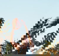 Wagga Social Netball - Dalby Accommodation