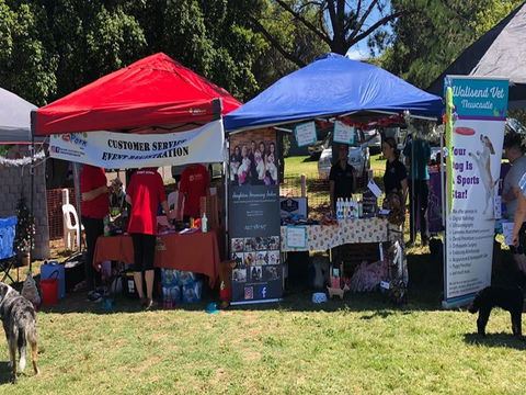 Dogs In The Park NSW Orange - Dalby Accommodation 1