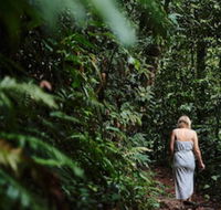 Daintree Ecolodge - Dalby Accommodation