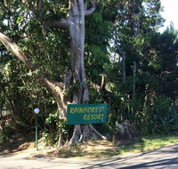 Byron Bay Rainforest Resort - Dalby Accommodation