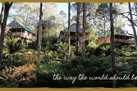 Lemonthyme Wilderness Retreat - Dalby Accommodation 5