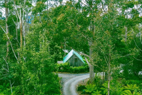 Lemonthyme Wilderness Retreat - Dalby Accommodation 1